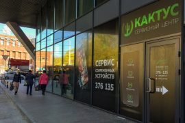 Кактус