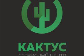 Кактус