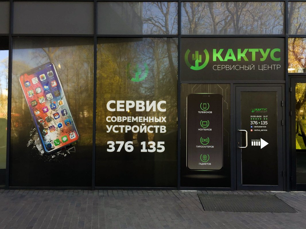 Кактус