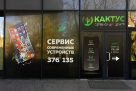 Кактус