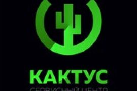 Кактус