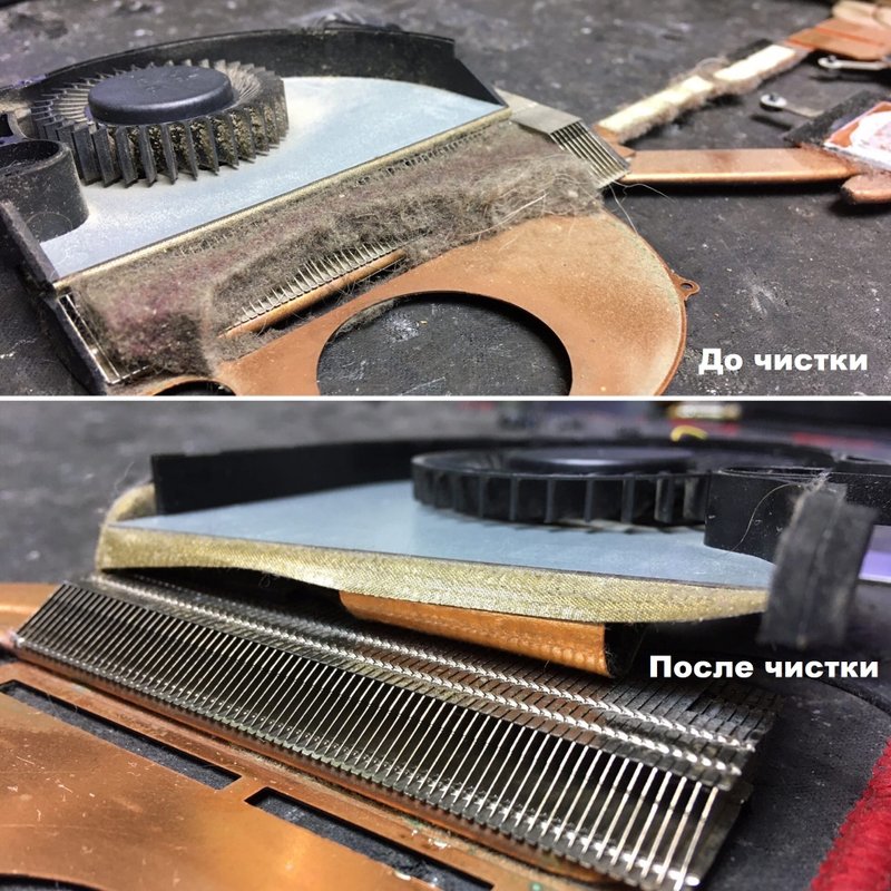 Нелс