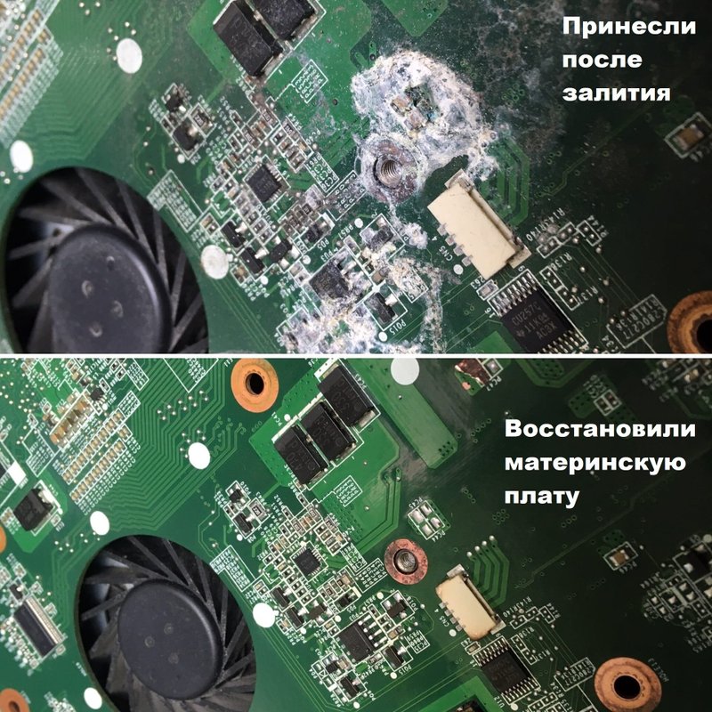 Нелс