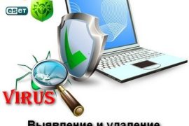 Мастерская по ремонту телефонов в Хосте