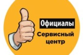 Официалы