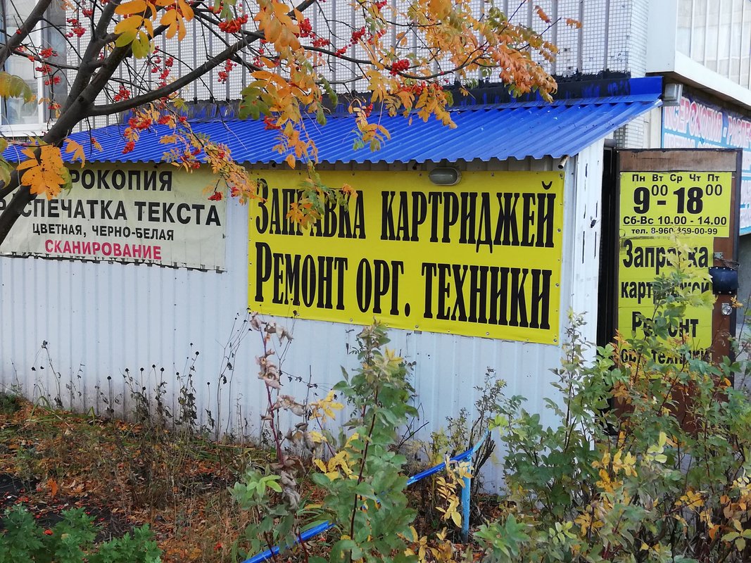 Подвальчик