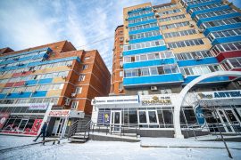 Сервис Pedant.ru