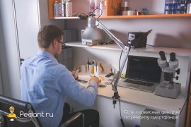Сервис Pedant.ru