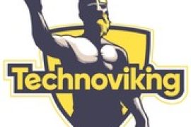 ТехноВикинг