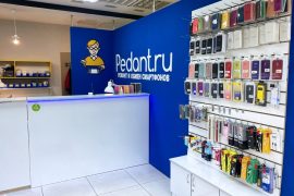 Сервис Pedant.ru