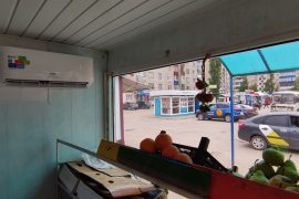 Интрон-М