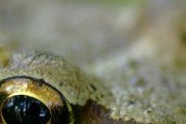 Абсолют-сервис на улице 50 лет Октября